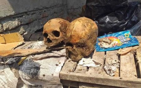 দেওয়ানগঞ্জ বাজারে ময়লার স্তূপে ৫ মানুষের খুলি ও কঙ্কাল উদ্ধার: এলাকায় চরম আতঙ্ক